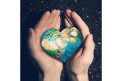 Image Image